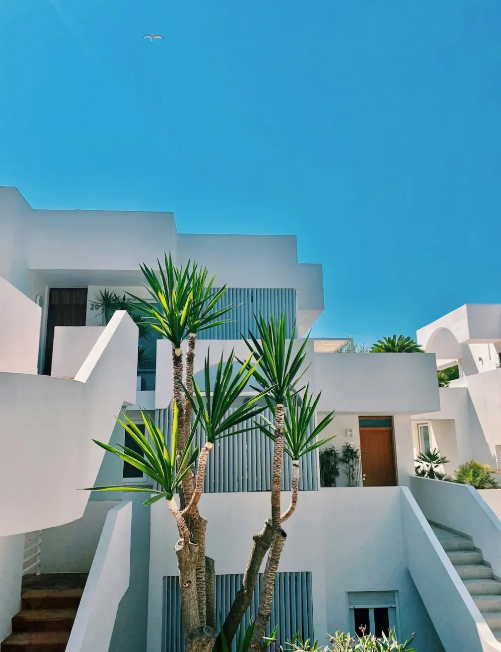 connie-garrad-VGtMvqHDpFw-unsplash